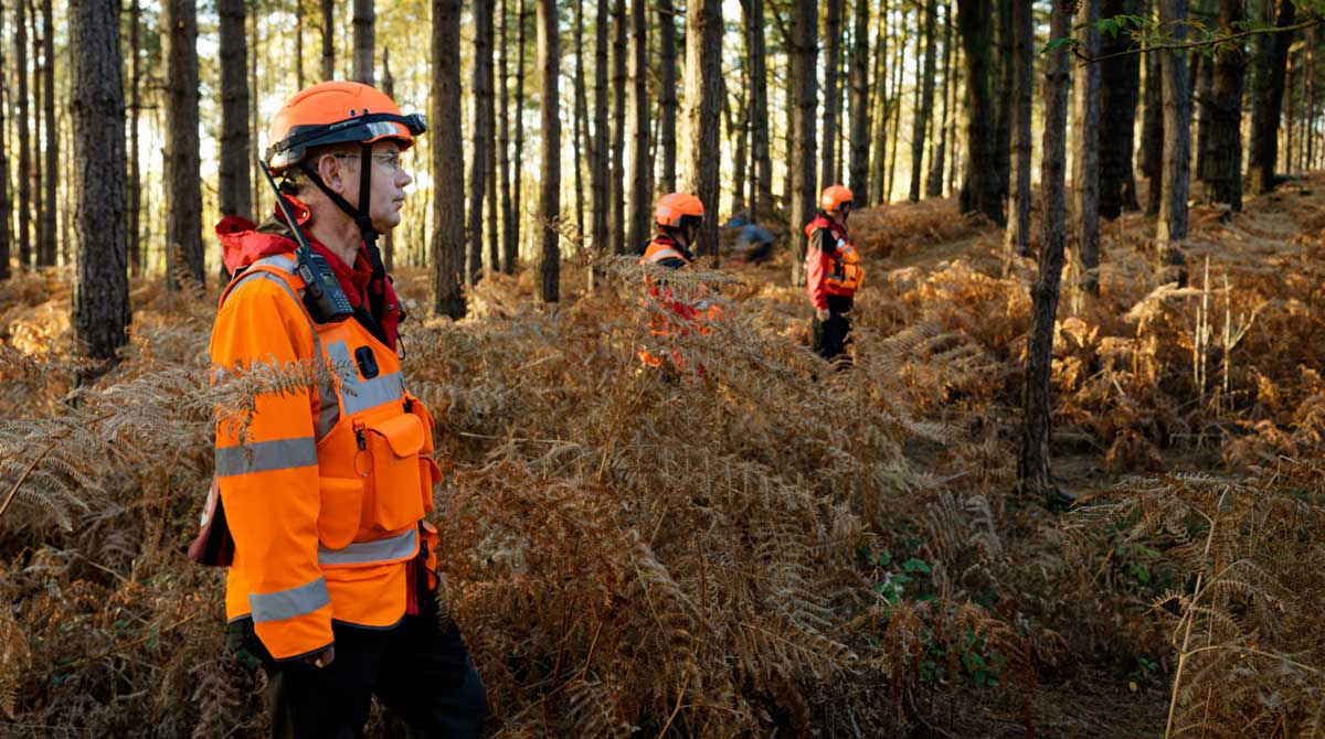 Systematic searching of the search area