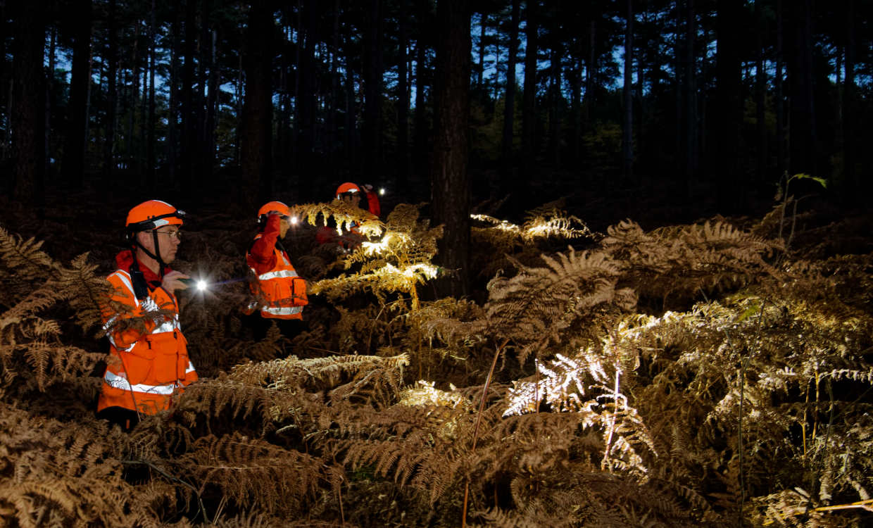 search technicians searching swinley forest