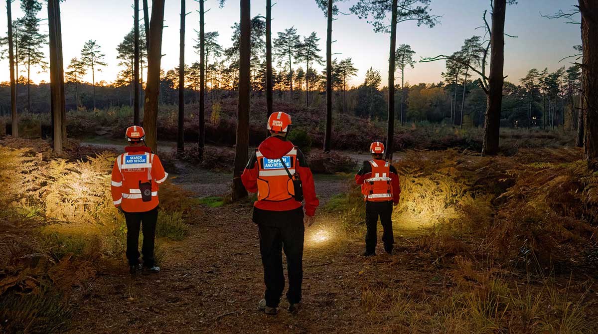 search technicians searching the forest